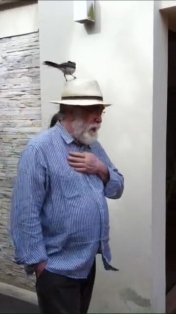 Eu e meu amigo sabiá 🐦
Sem I.A.

Um Feliz Natal a todos!

📽️: @dfabreu