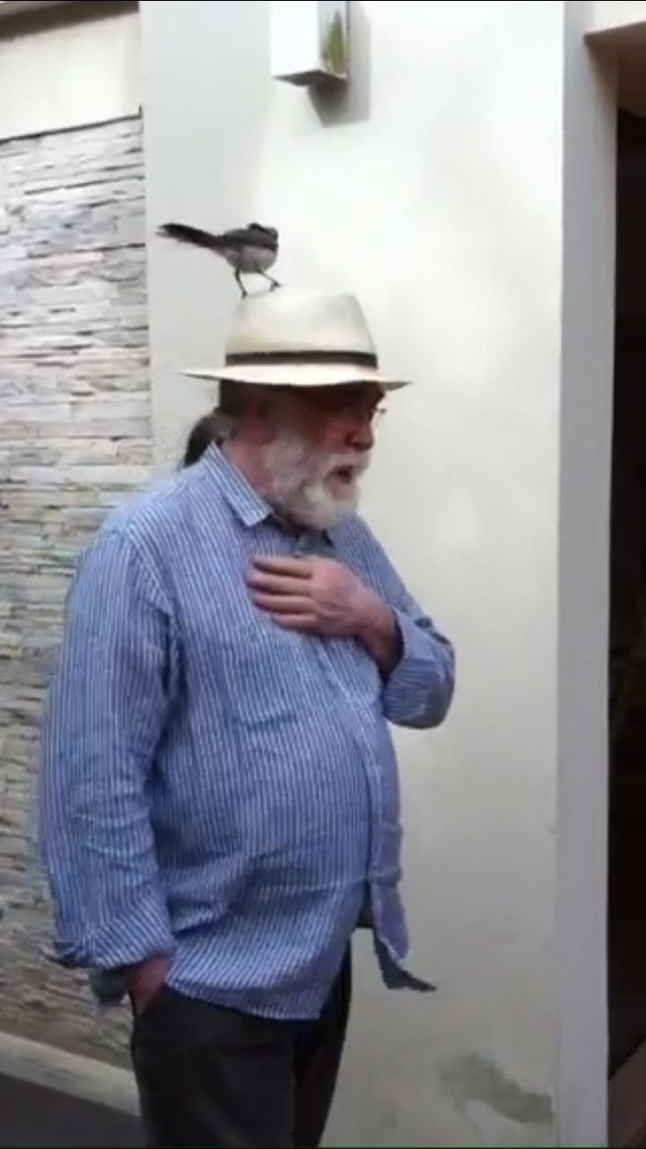 Eu e meu amigo sabiá 🐦
Sem I.A.
Um Feliz Natal a todos!
📽️: @dfabreu